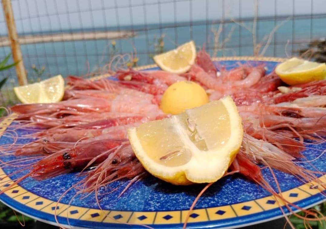 La Terrazza Sul Mare Monolocale Con Terrazza Vicino Aereoporto&Mare Sicilian Vintage Style Beach House Cinisi Εξωτερικό φωτογραφία
